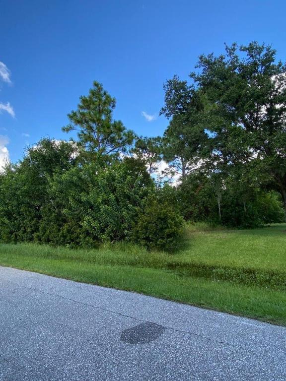 7066 Bargello Street