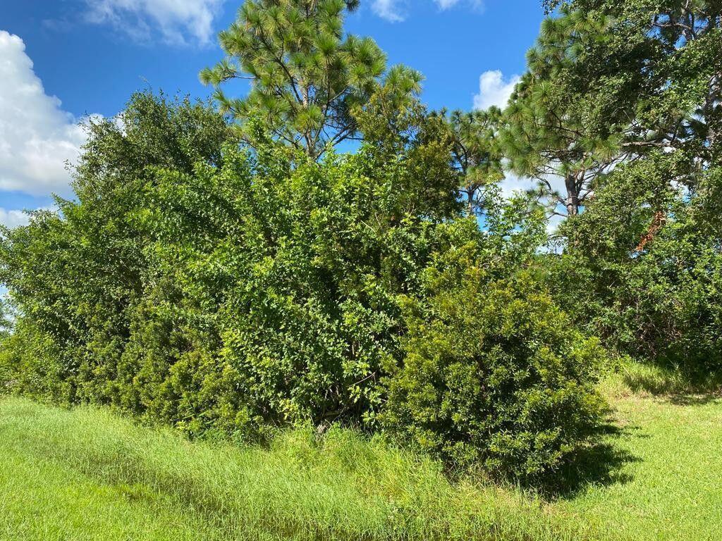 7066 Bargello Street