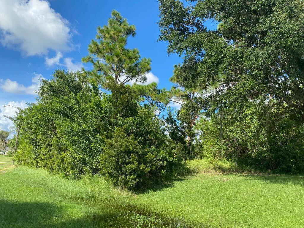 7066 Bargello Street