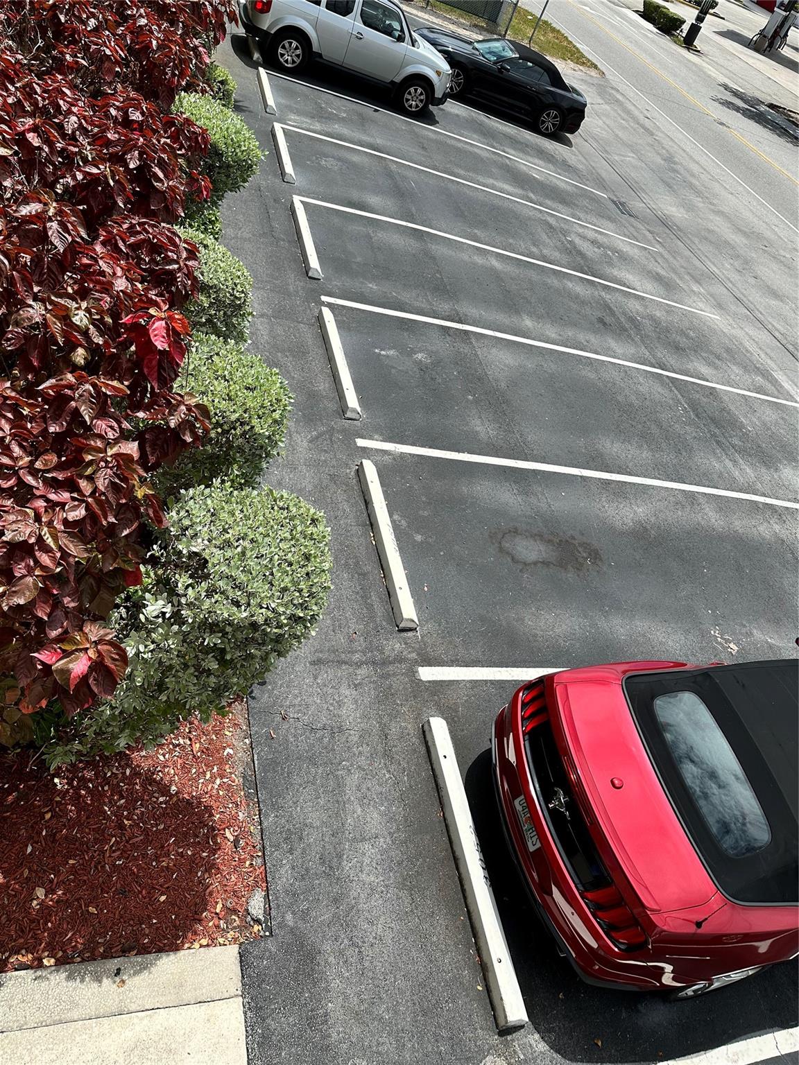 PLAMA VISTA - Residential