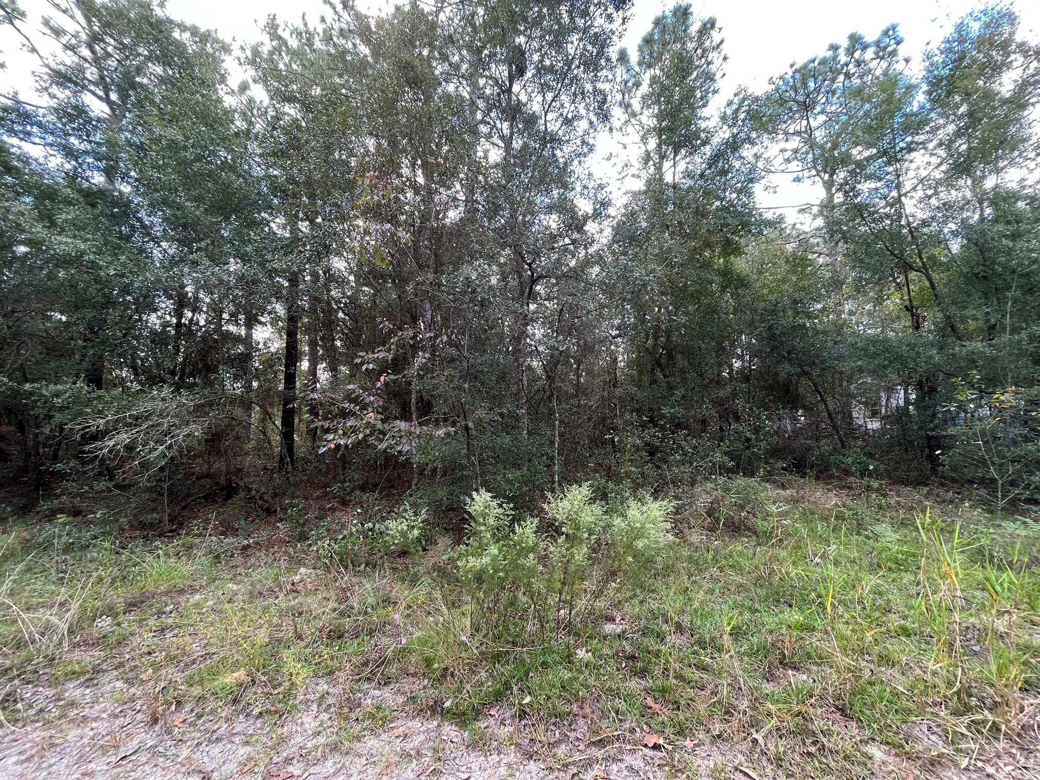 Build your Home or bring your new Mobile Home to this peaceful wooded lot. Keystone Heights offers many lakes for water sports, Gold Head State Park for exploring and camping, along with trails for bicycling. Town is centered between Palatka, Gainesville and Jacksonville. Owner financing available