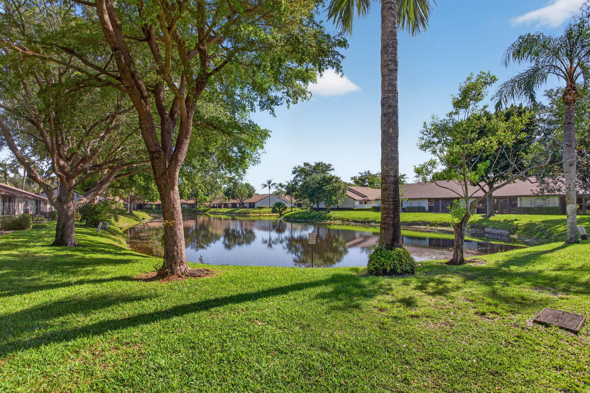 GINGER TREE - Residential