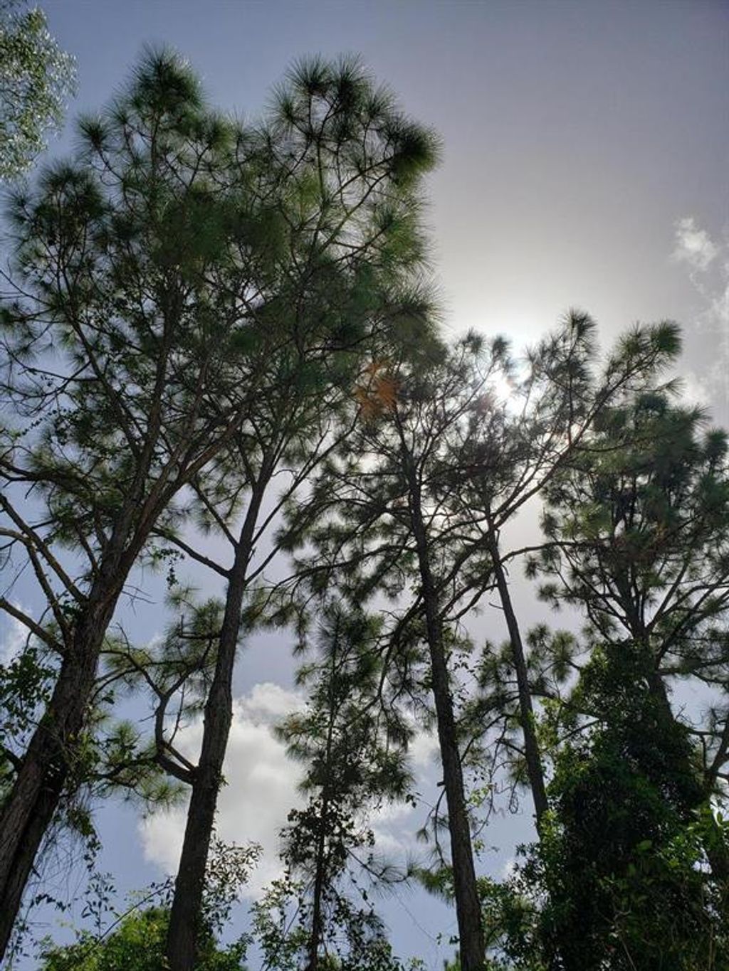Photo of Xxxxx 200th And 56th, Loxahatchee, FL 33470 (MLS # R10745272)