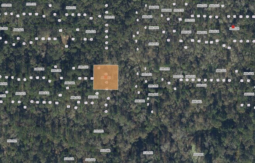 Owner financing considered! Rare opportunity to own a 0.23-acre vacant lot in Hawthorne, FL! Located in a quiet area, the property offers privacy and flexibility for your dream home or investment. Conveniently situated near local amenities, schools, and major roadways, this lot is perfect for building the home you've always wanted. The seller owns multiple properties throughout Putnam County and is willing to sell as a package deal, offering additional investment or development opportunities.