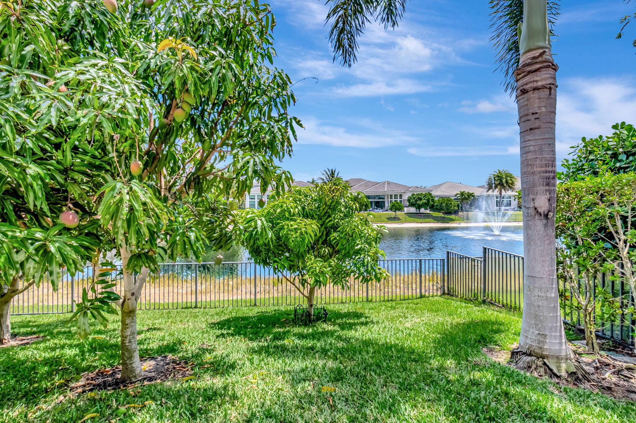 ROYAL PALM POLO - Residential