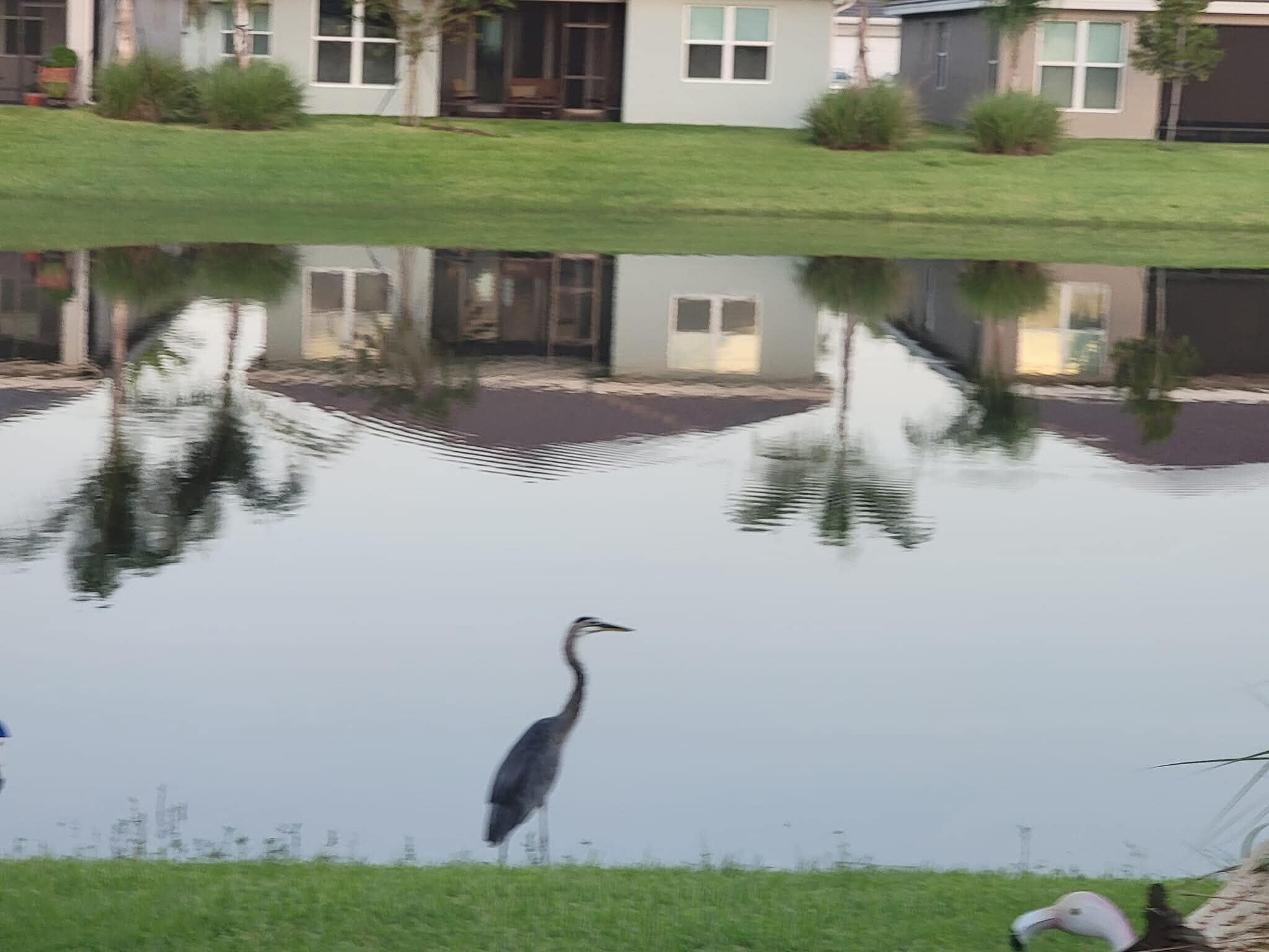 RIVERLAND PARCEL A - PLAT SIX - Residential