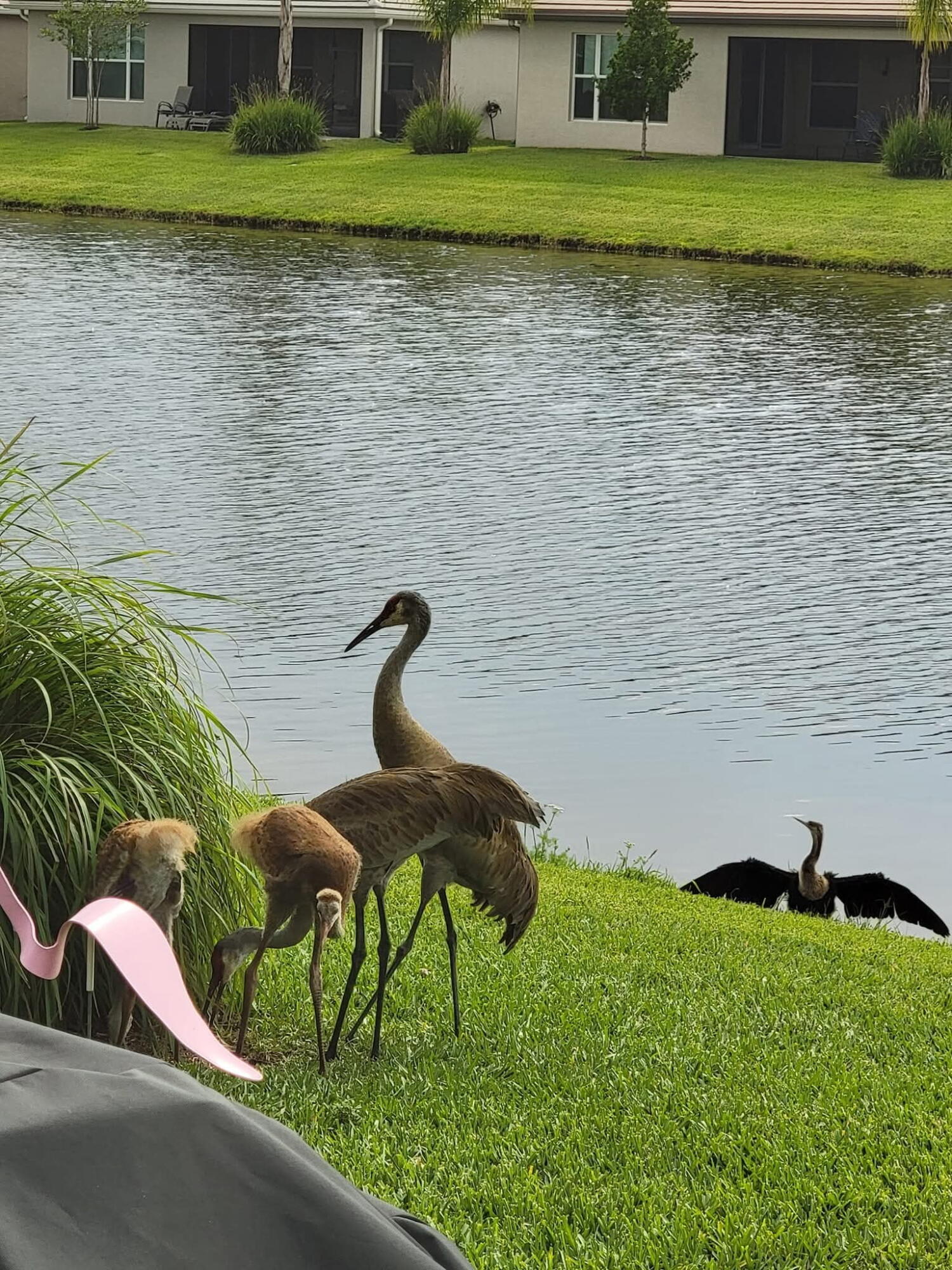 RIVERLAND PARCEL A - PLAT SIX - Residential