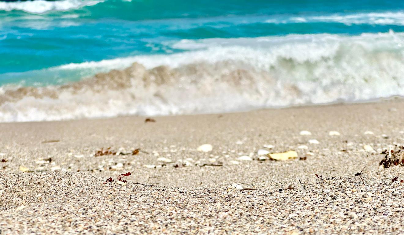 DUNES CONDO - Residential