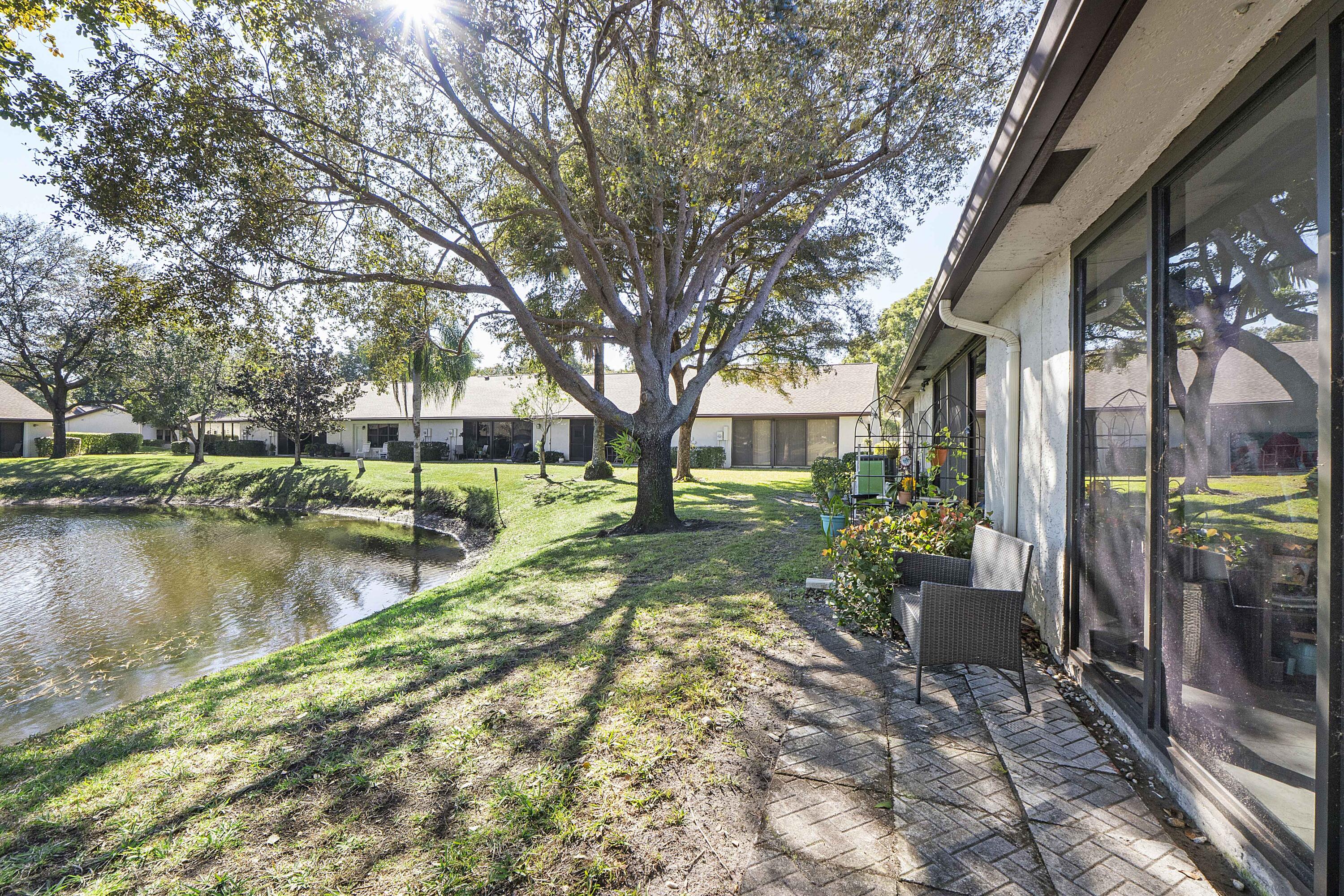 GINGER TREE - Residential