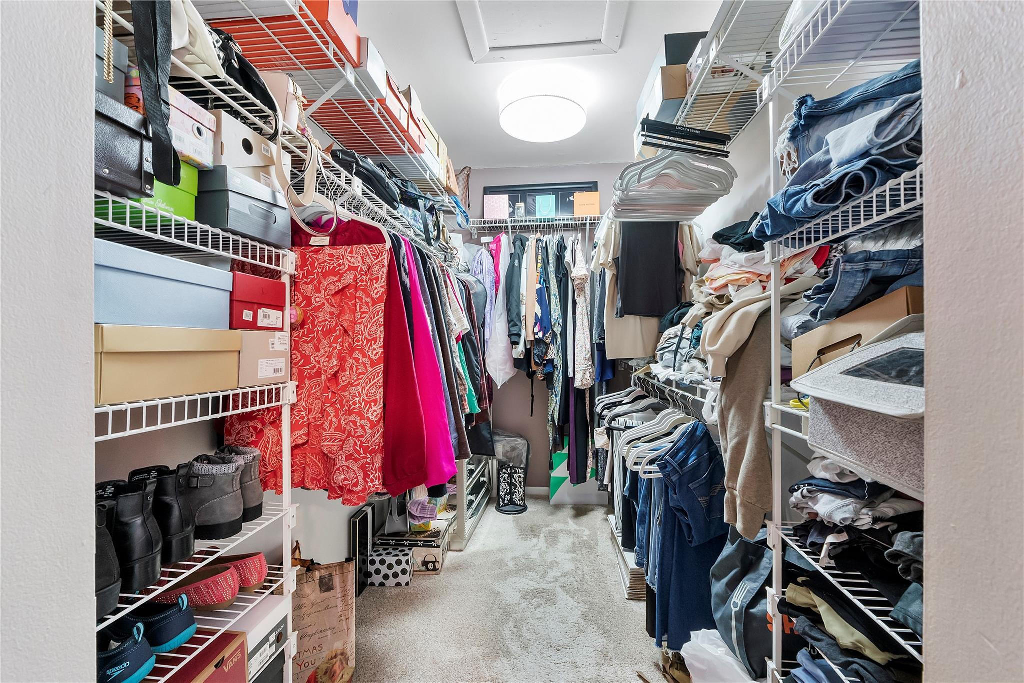 GINGER TREE - Residential