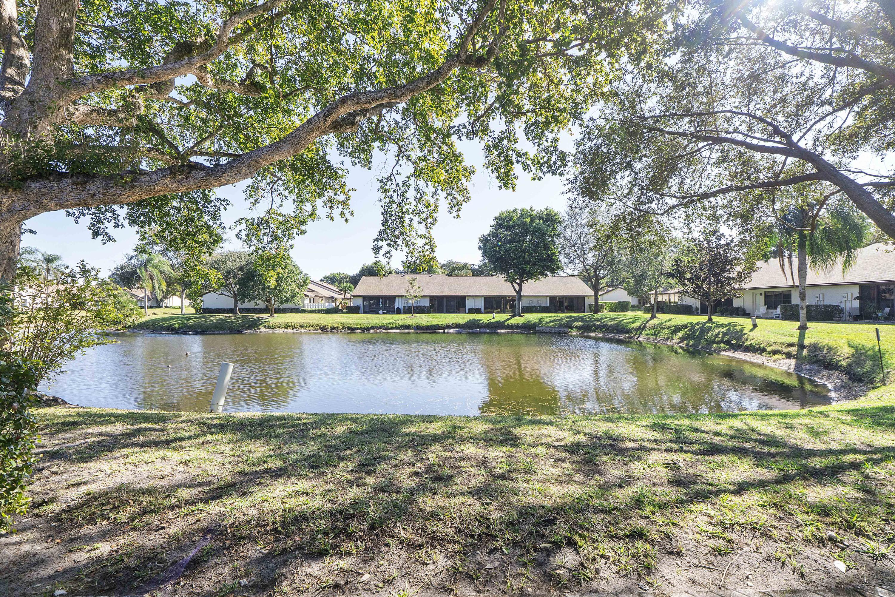 GINGER TREE - Residential