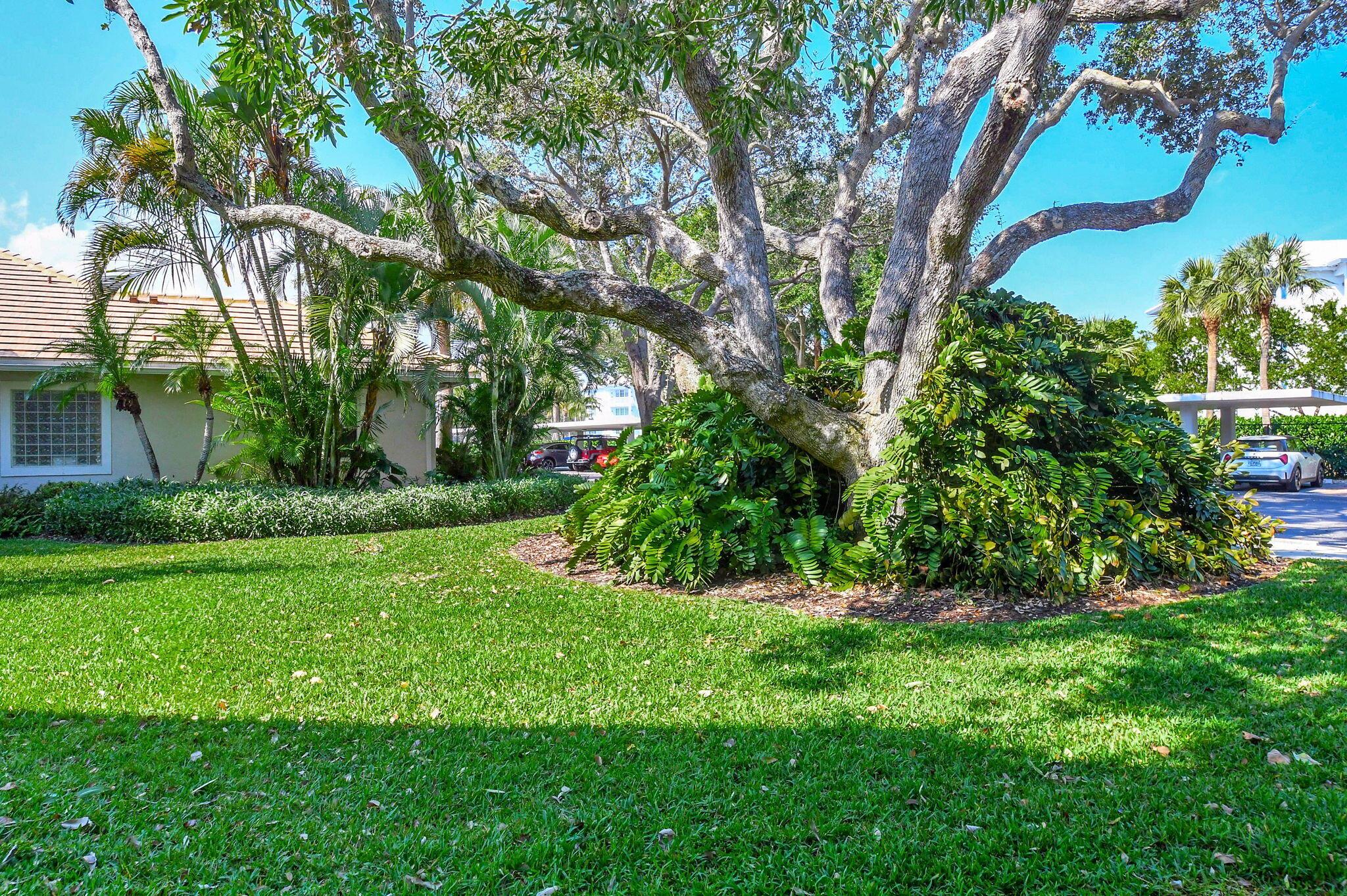 OAK HARBOUR CONDOS - Residential Lease