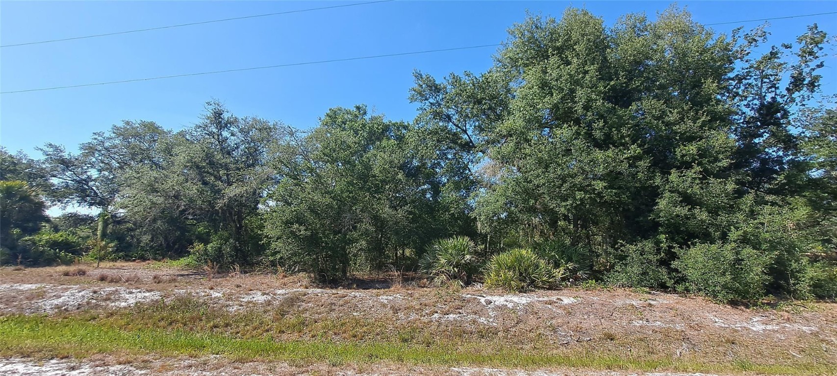 Viking/Prairie - Land