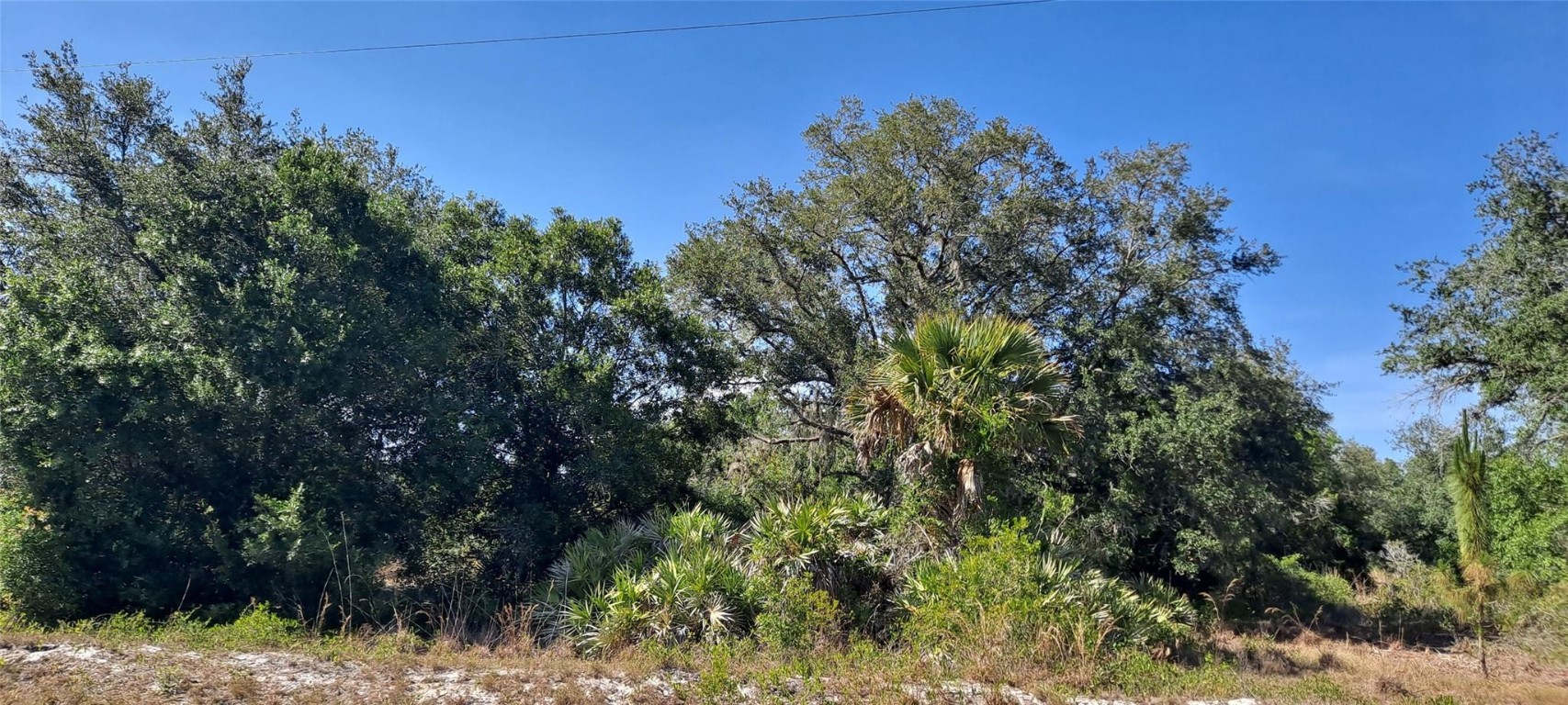 Viking/Prairie - Land