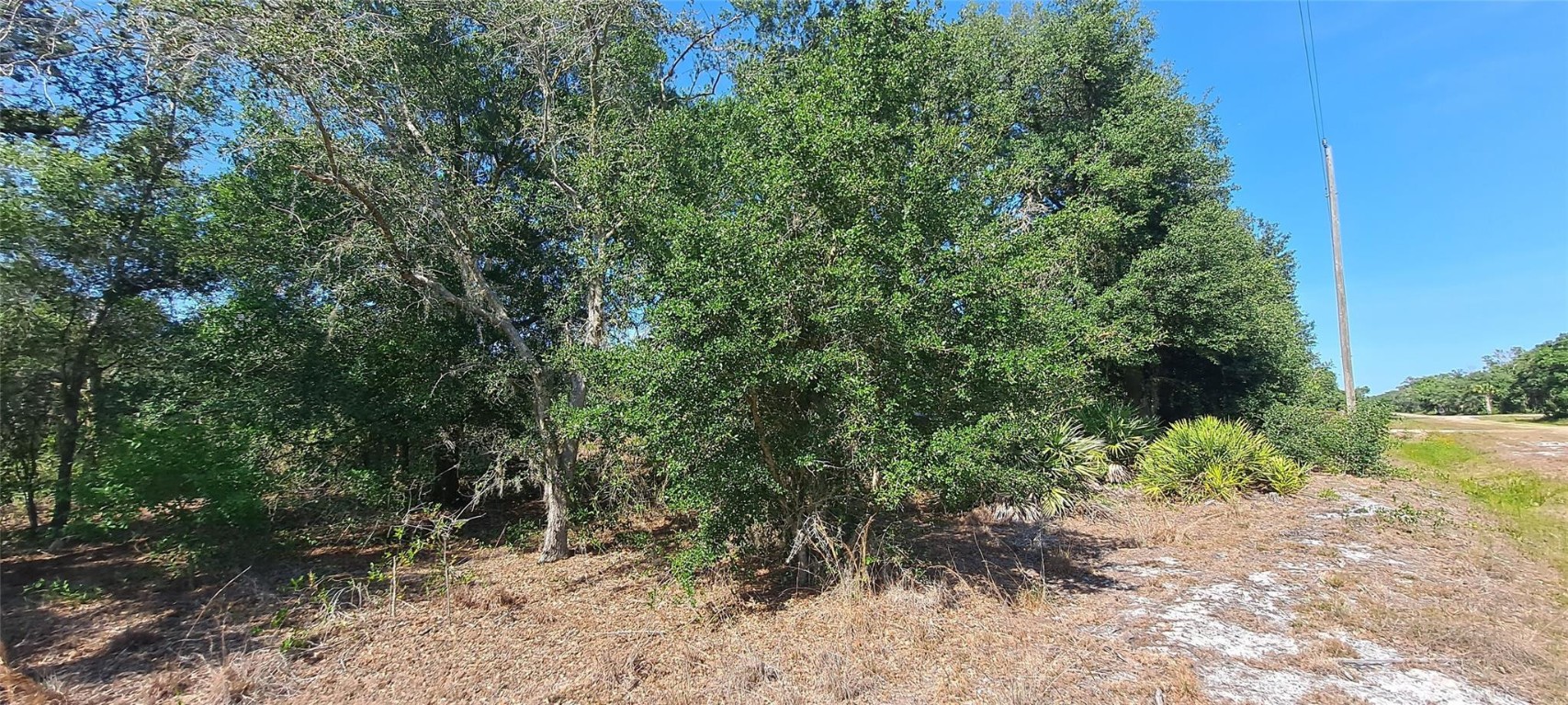 Viking/Prairie - Land