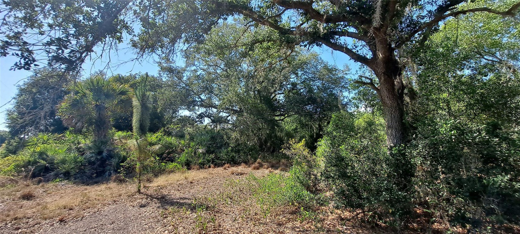 Viking/Prairie - Land