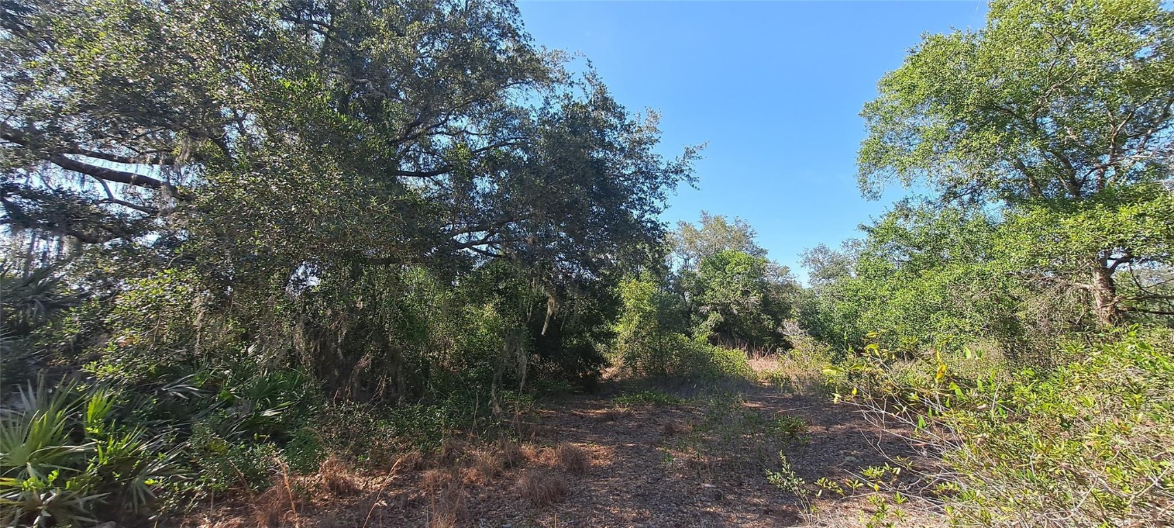 Viking/Prairie - Land