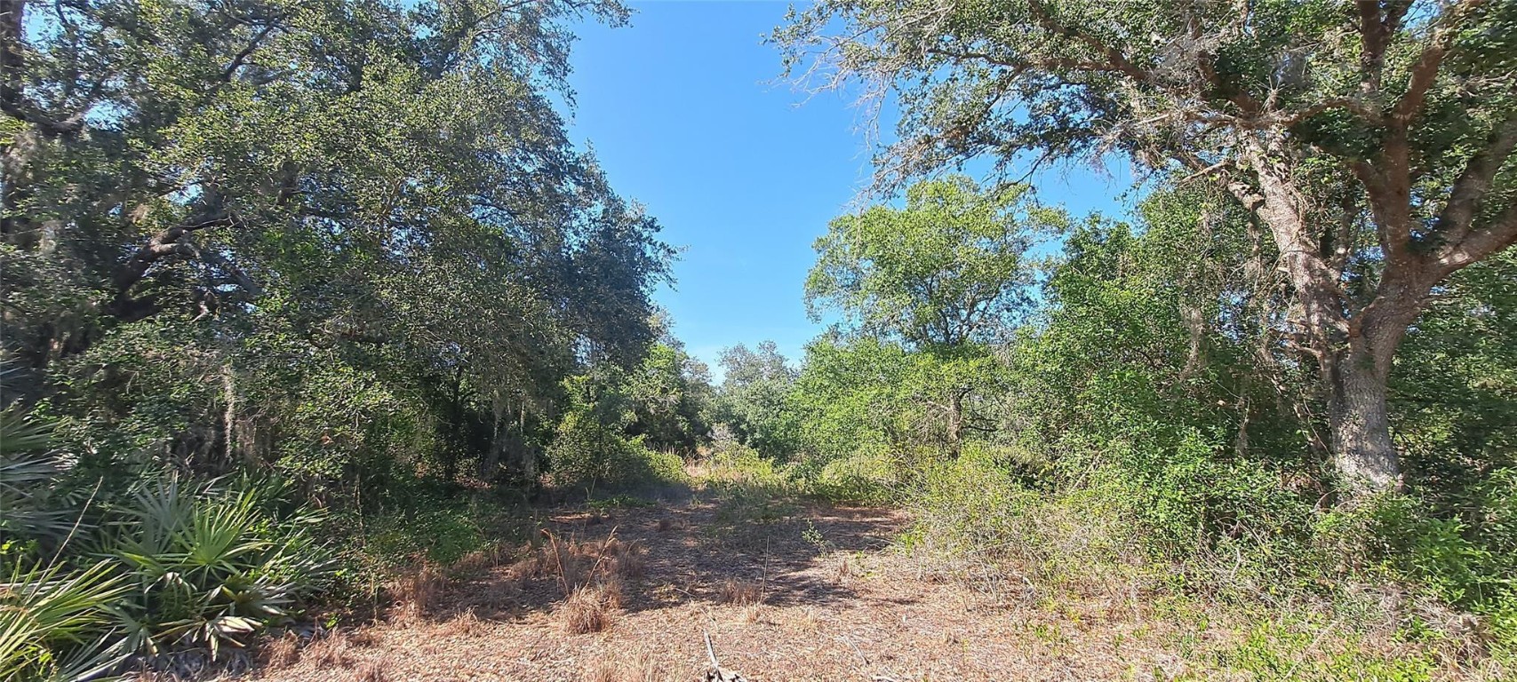 Viking/Prairie - Land