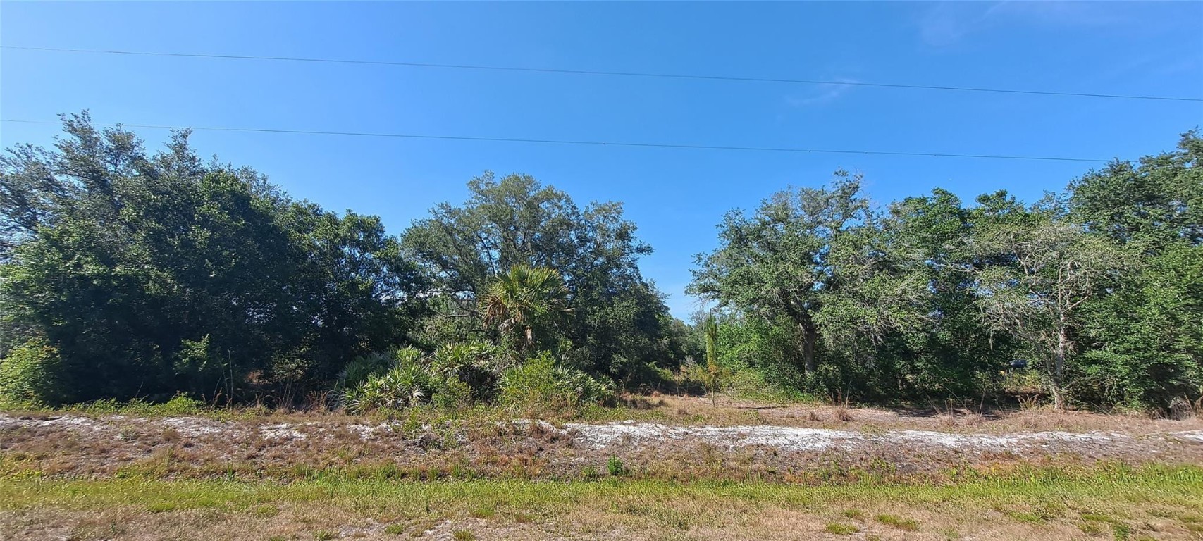 Viking/Prairie - Land