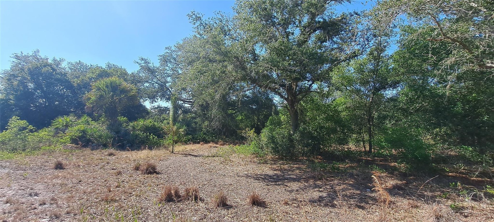 Viking/Prairie - Land