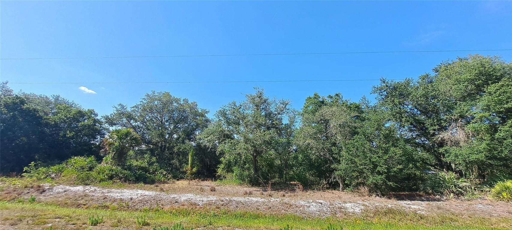 Viking/Prairie - Land