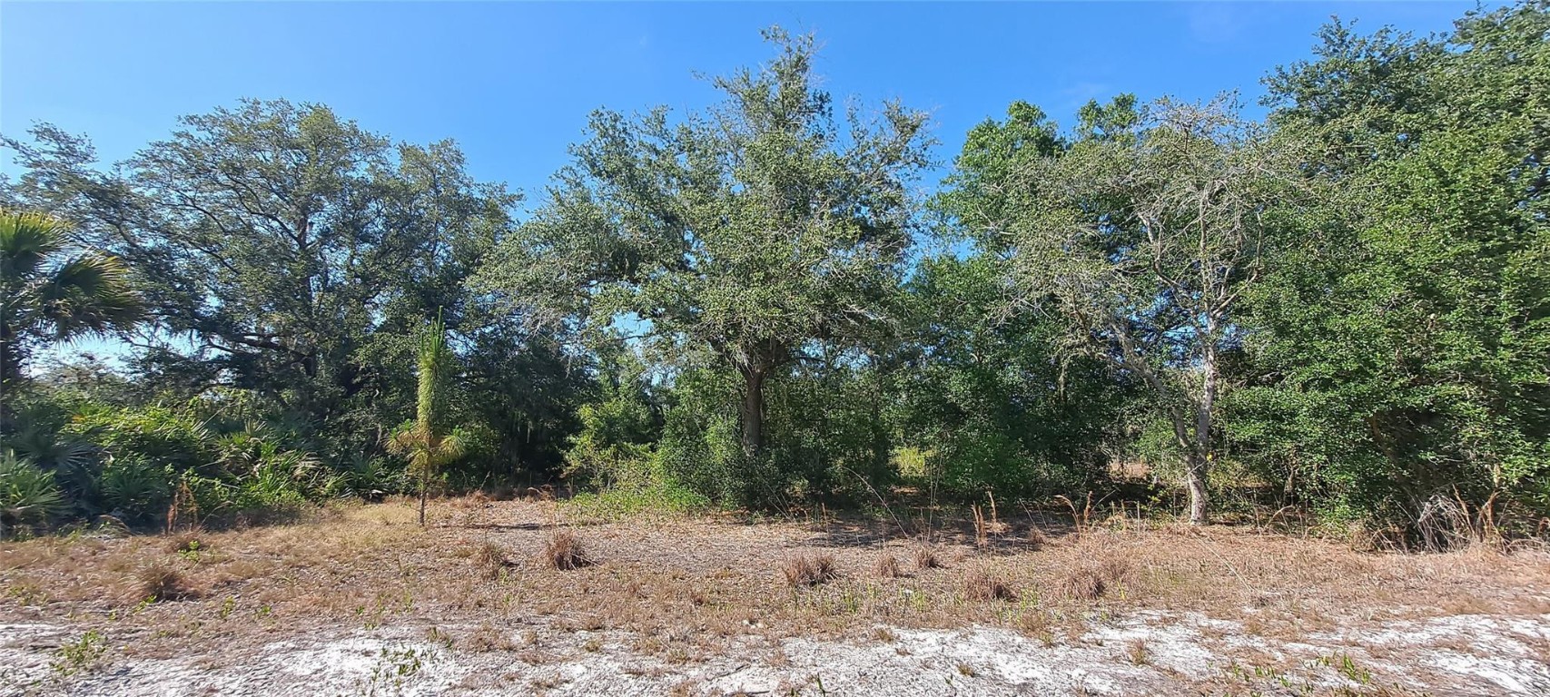 Viking/Prairie - Land