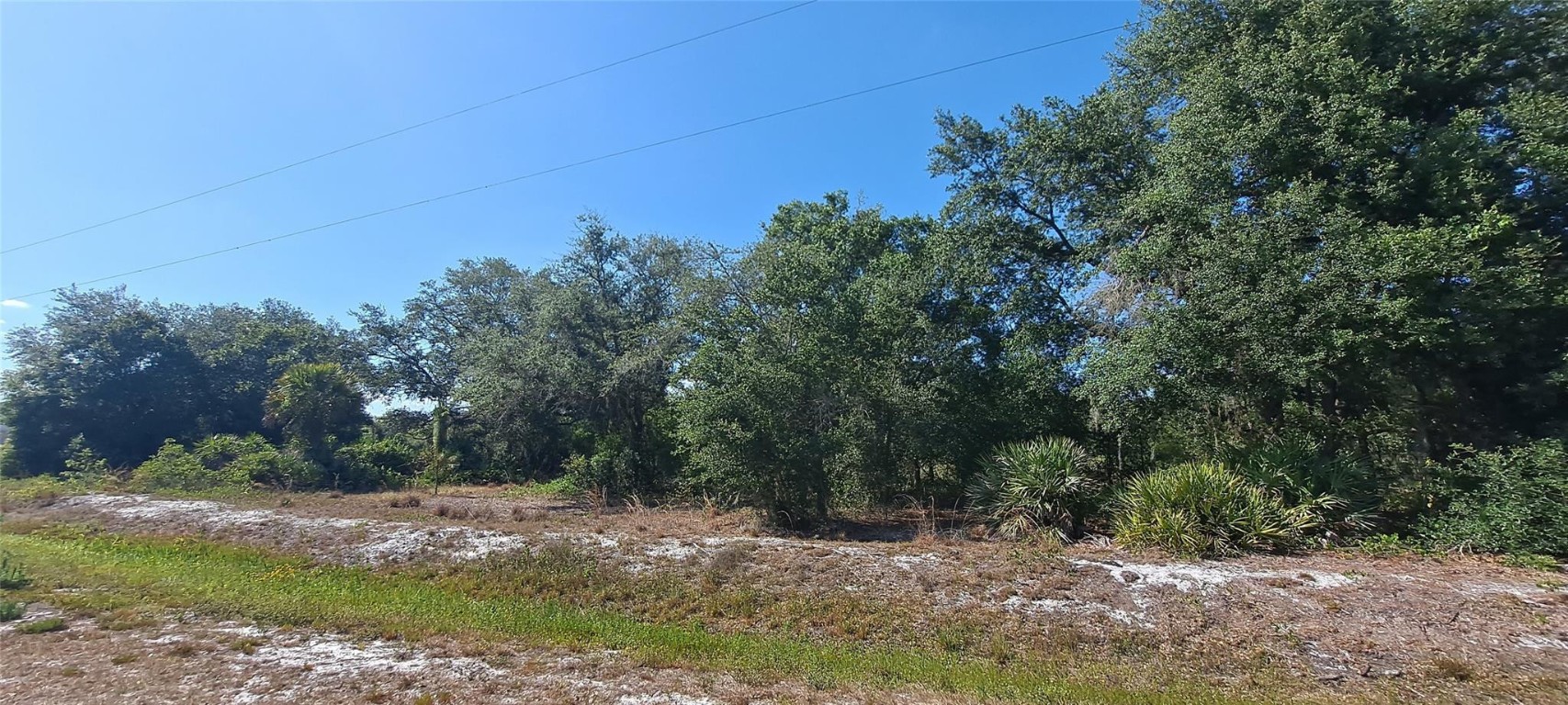 Viking/Prairie - Land