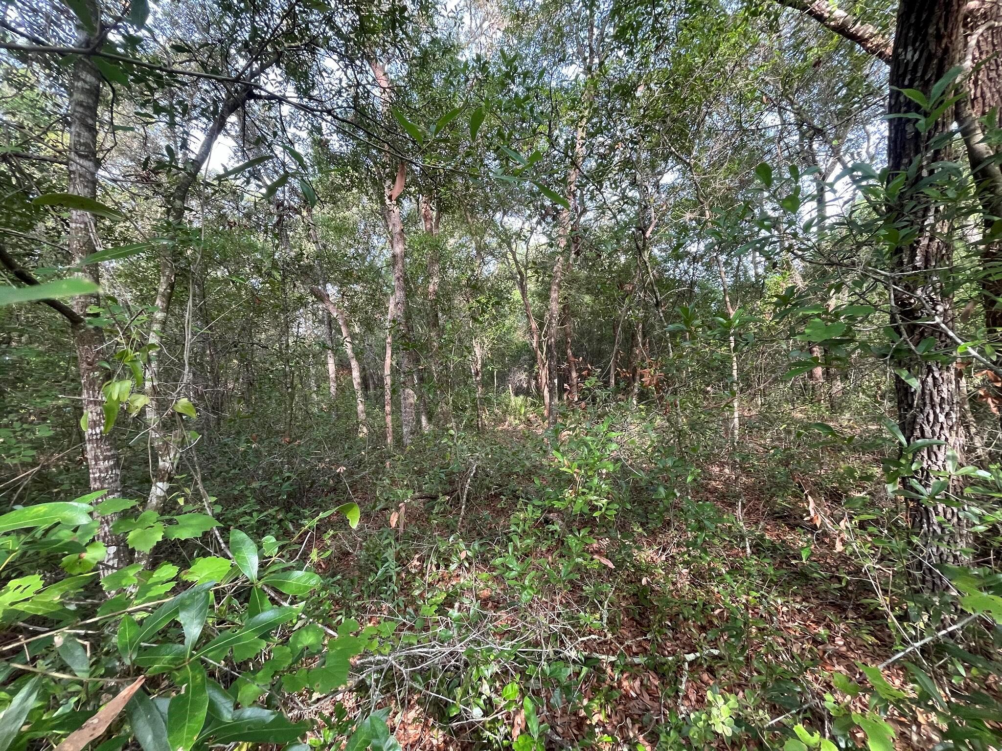 RIVER LAKES MANOR UNIT 1 - Land