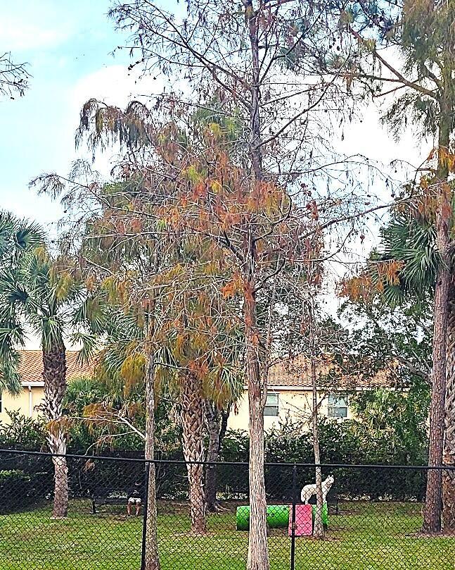 GRAND ISLES CONDO - Residential Lease