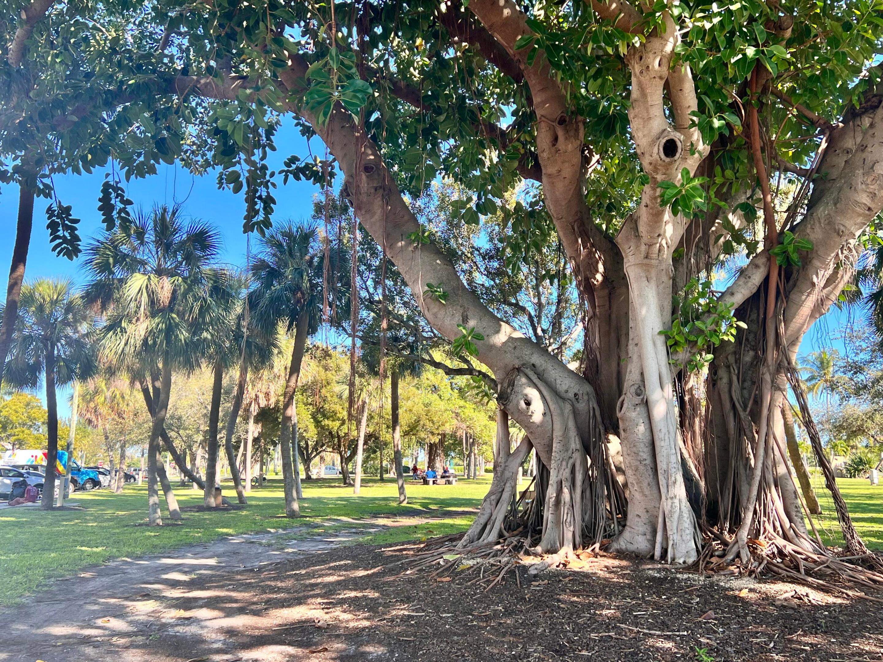 GULFSTREAM CONDO - Residential Lease