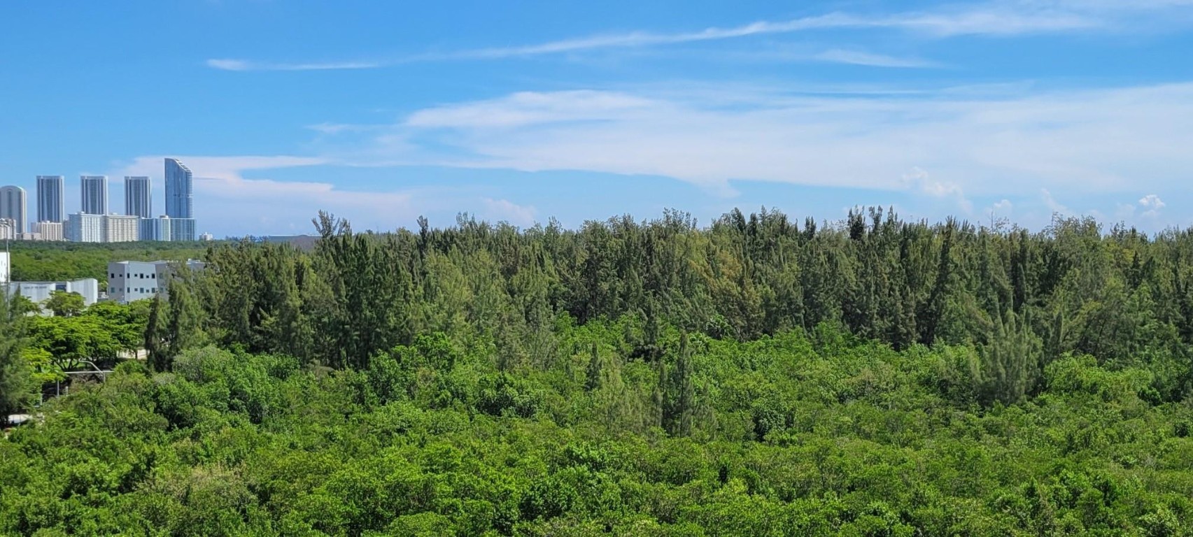 The Oaks I Condo - Residential