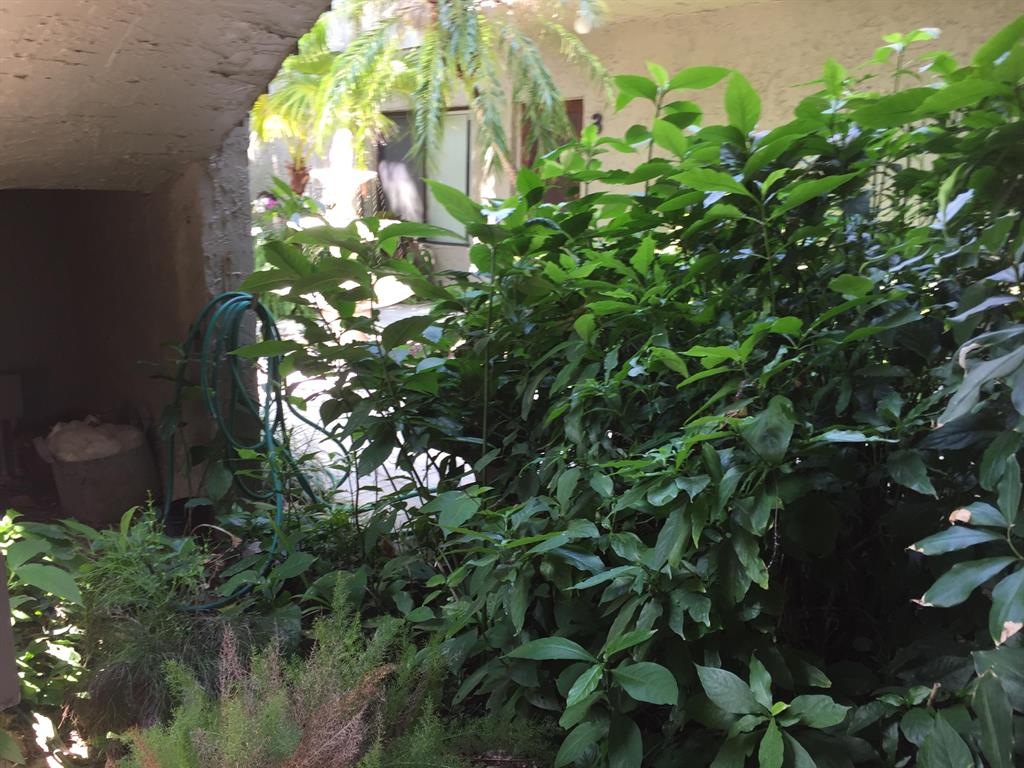 800 Place Condominimum - Residential