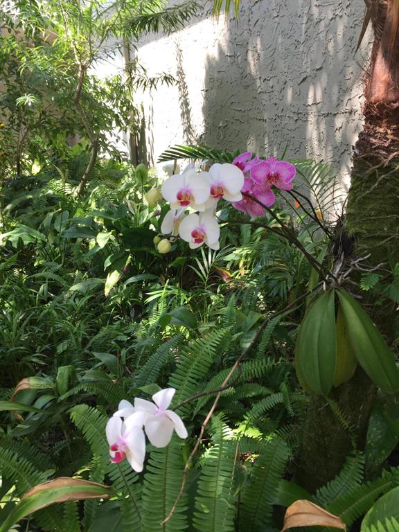 800 Place Condominimum - Residential