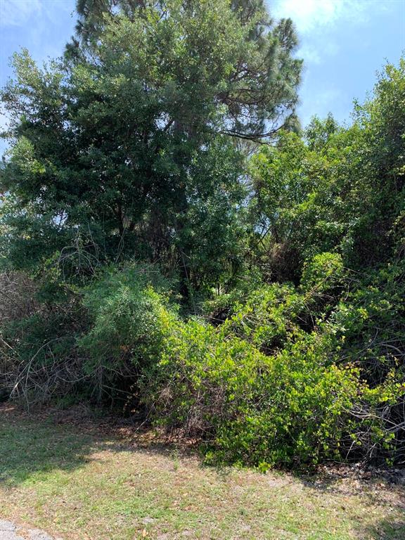 Port Saint Lucie - Land