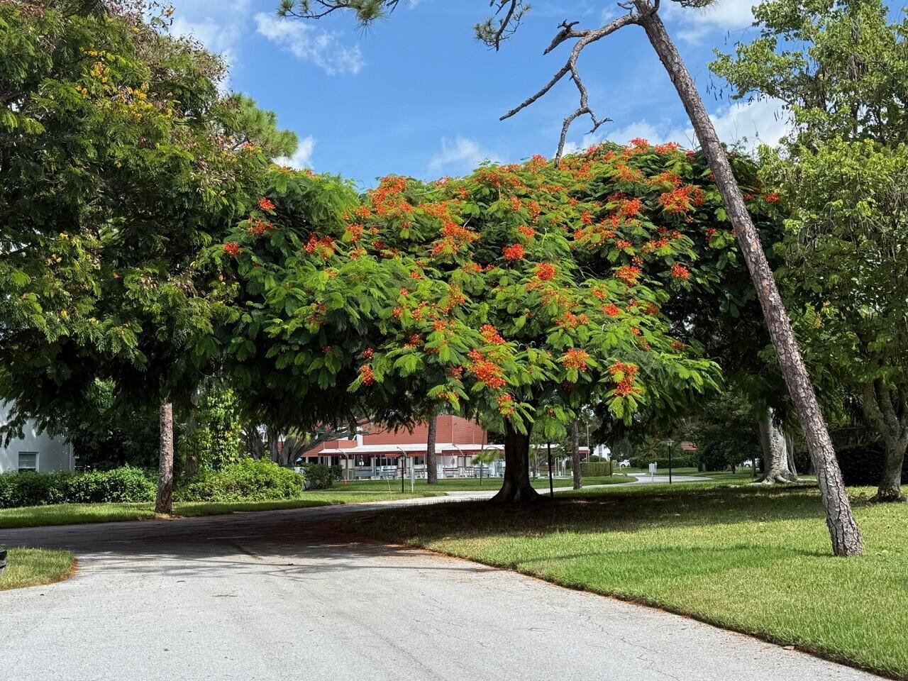 VISTA PINES CONDO - Residential