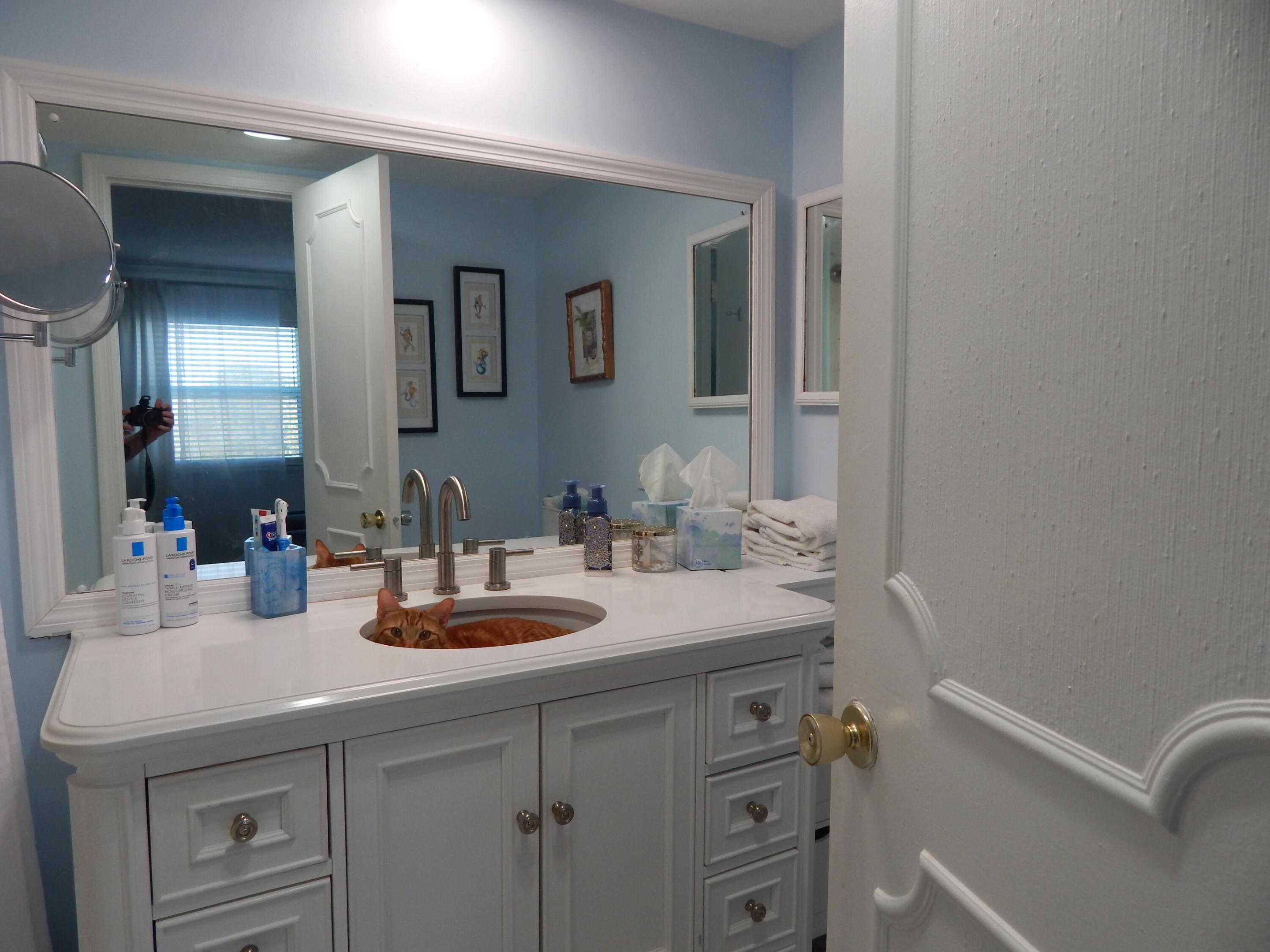 IMPERIAL CONDOMINIUM - Residential Lease