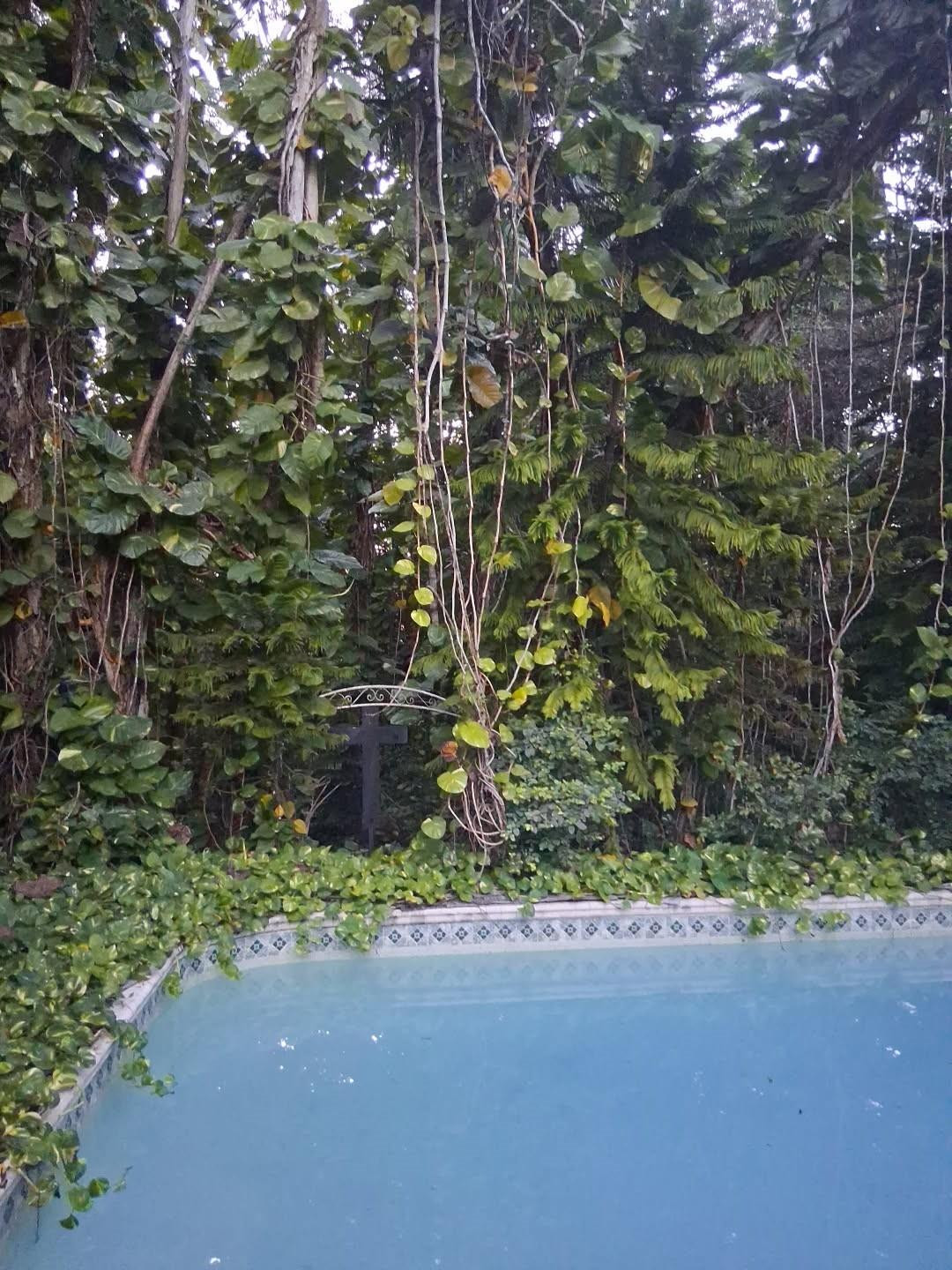 GREEN GLADES COUNTRY ACRES - Residential