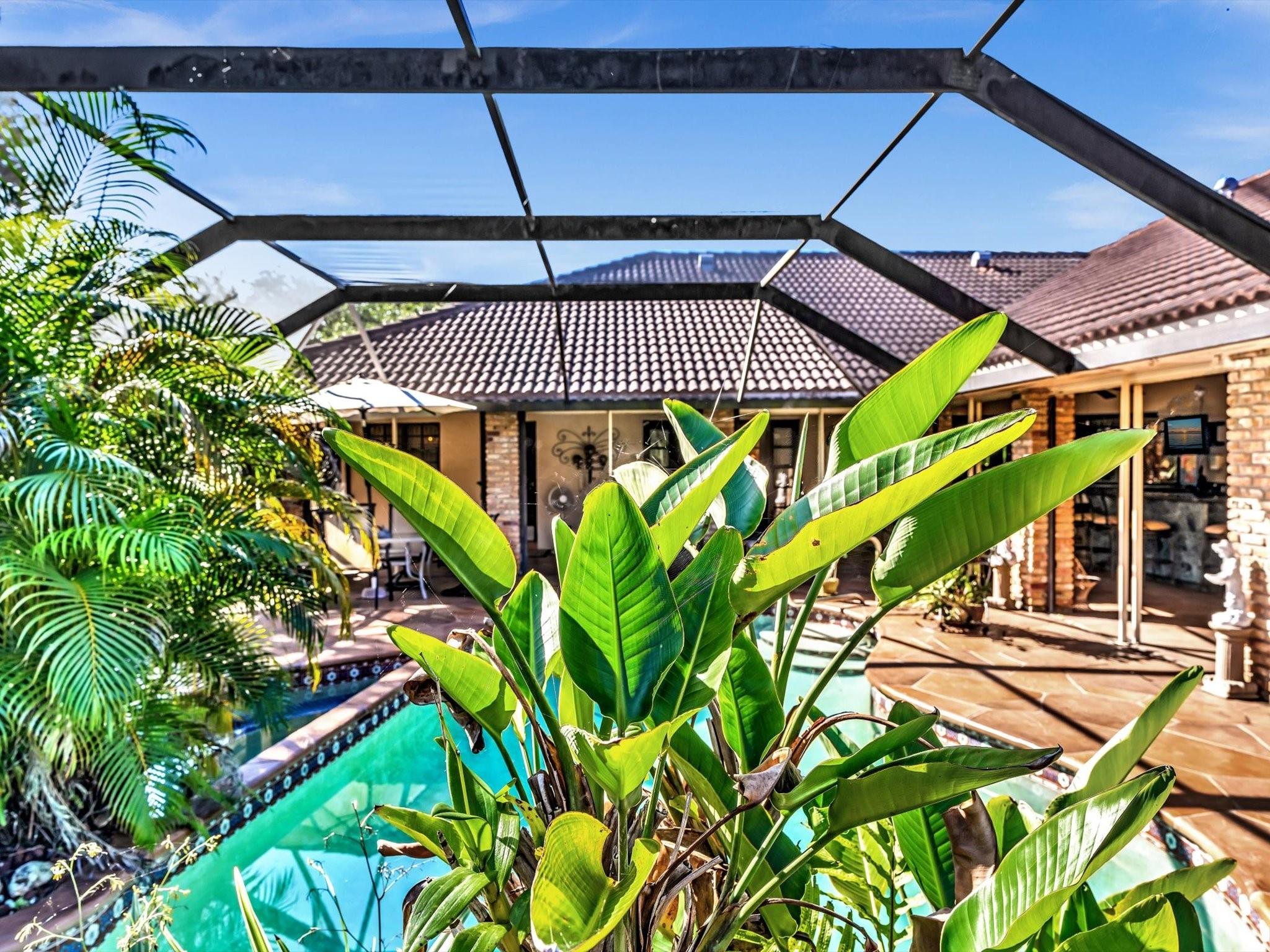 NEWMANS SURVEY - Residential