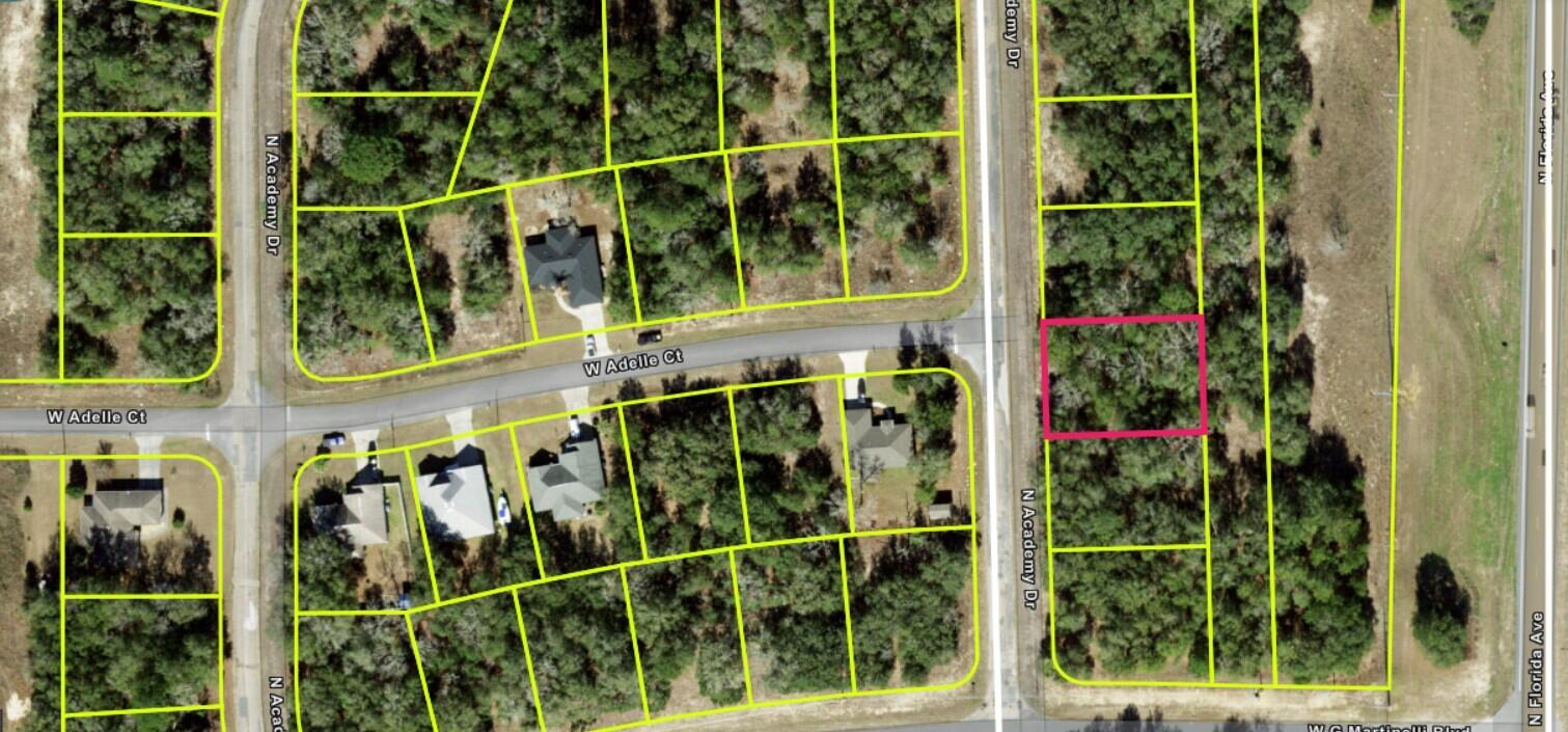 Discover the perfect spot to build your dream home or invest in Florida land! Located in a peaceful residential neighborhood off US-41, it offers the best of both privacy and convenience, in Citrus County with no HOA and no deed restrictions, this property provides the freedom to create your ideal lifestyle whether it's a custom home, a seasonal retreat, or an investment for the future. Capitalize on the tranquility of suburban living this parcel offers with a peaceful, wooded setting and paved road access while just a short drive from shopping, restaurants, medical facilities, freshwater springs and the beautiful Rainbow River. You are never far from modern amenities or outdoor adventures like fishing, boating, golfing and hiking. Don't miss this chance to own a slice of Rea Life Florida