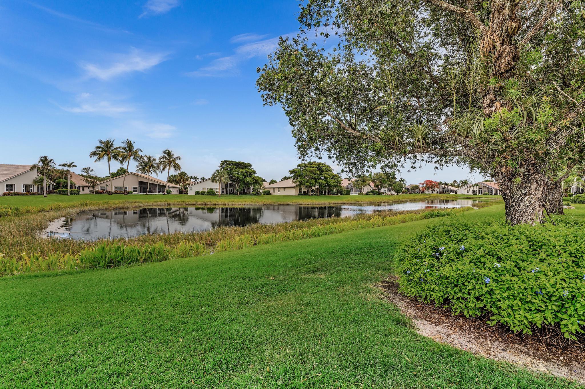 12316 Lakeridge Falls Drive