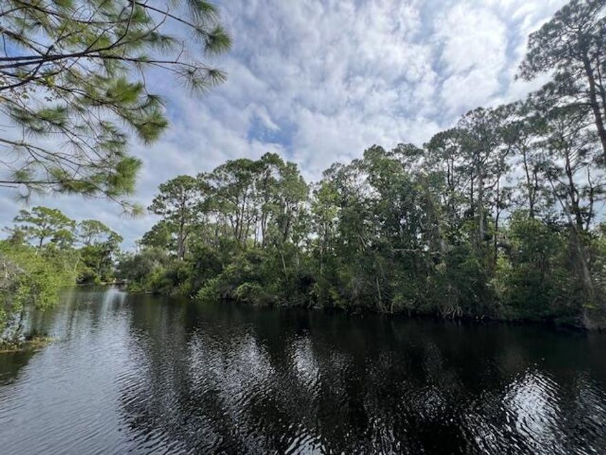 Another wonderful property in Leisure Lakes on the canal! .26 acre, very serene area is perfect to build your home or get-a-way and have access to all your favorite water sports right at your back door! Direct access to Lake Carrie and access to Lake  June. Call me for more information on this amazing property!