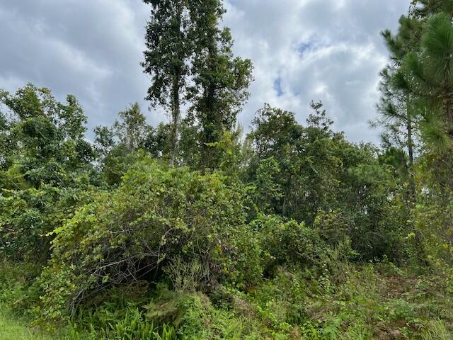 Leisure Lakes - Land