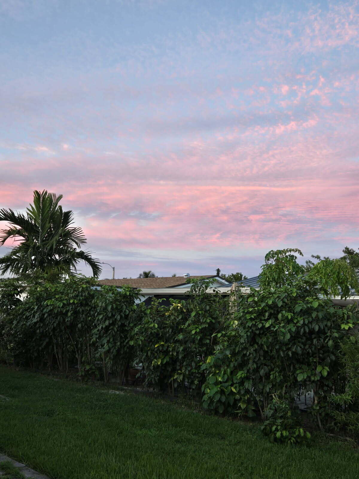 MAINLANDS OF TAMARAC LAKES - Residential