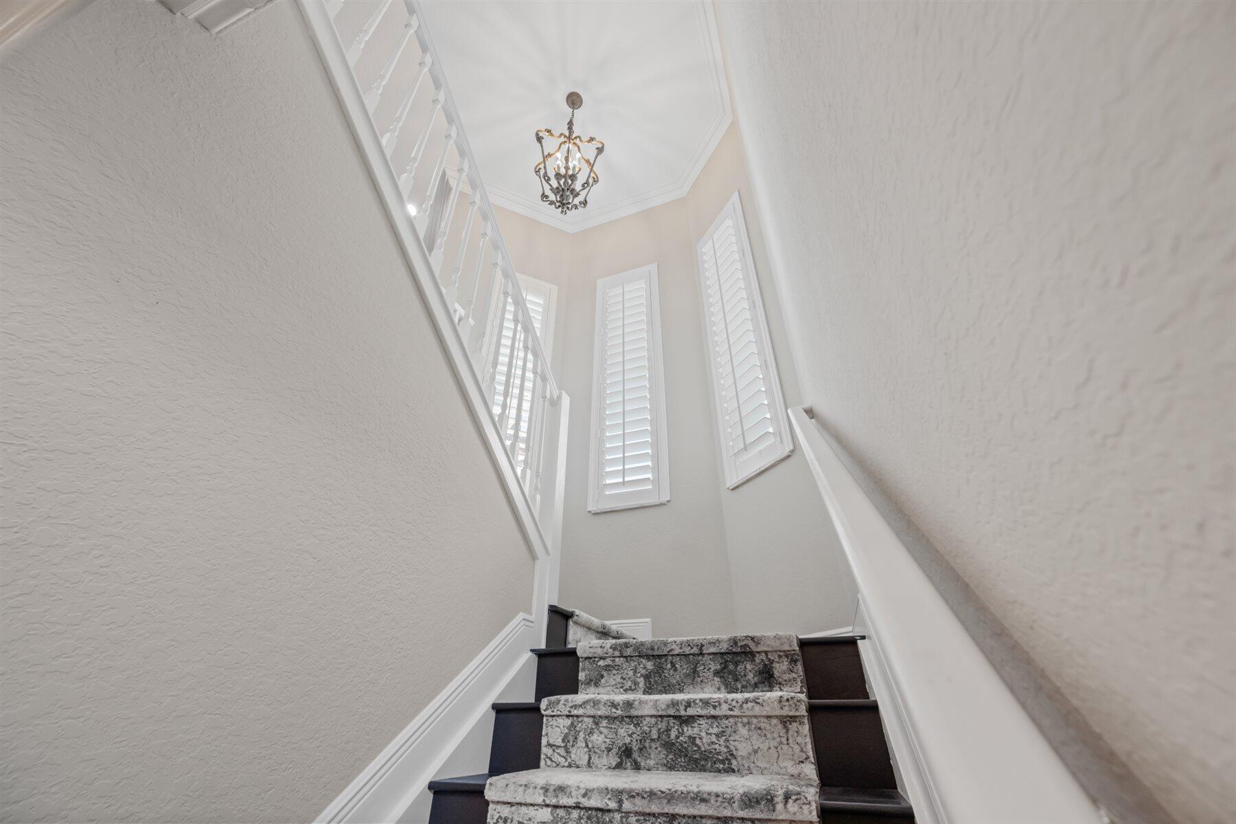 EQUESTRIAN CLUB - Residential