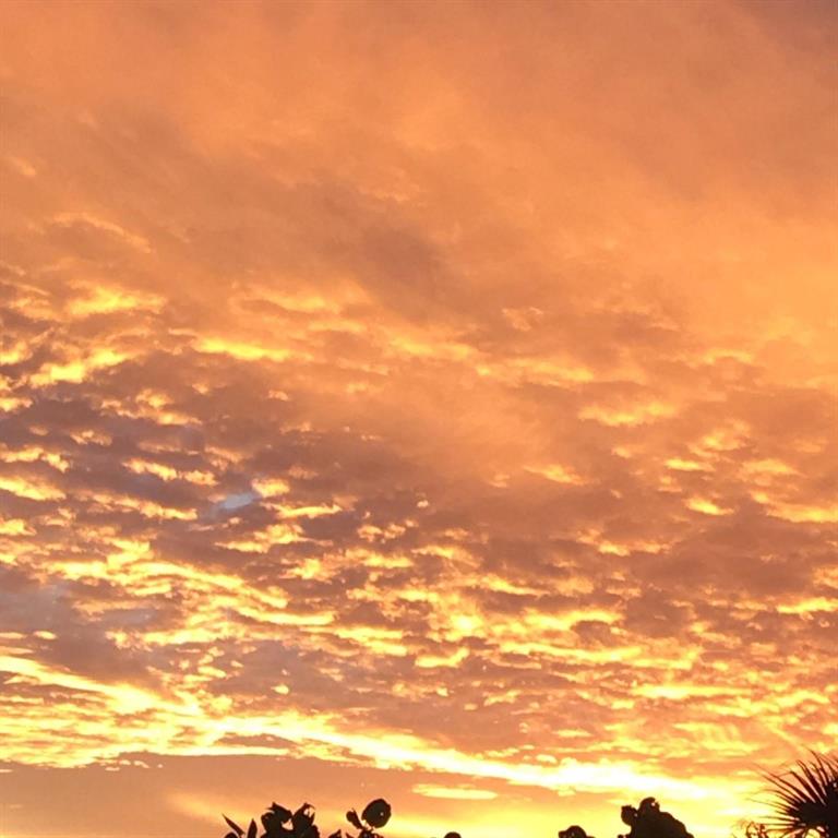 REEF CONDO - Residential Lease