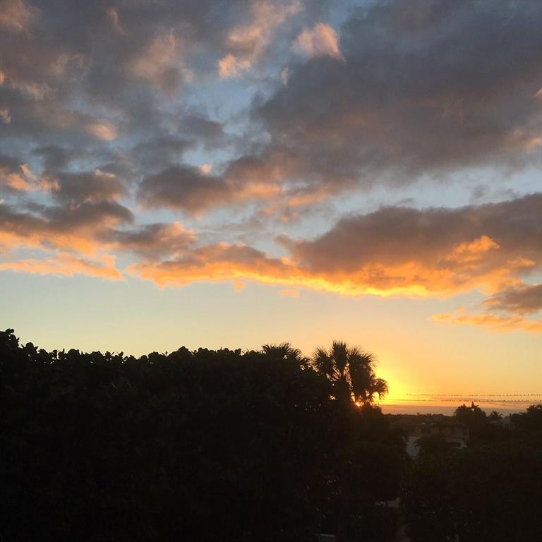 REEF CONDO - Residential Lease