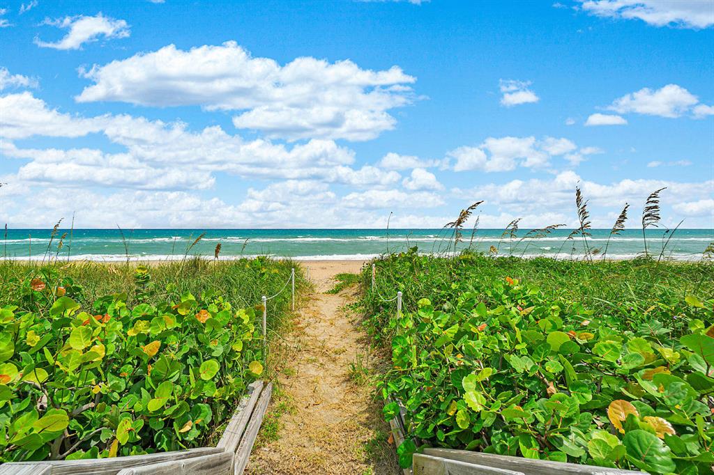 REEF CONDO - Residential Lease