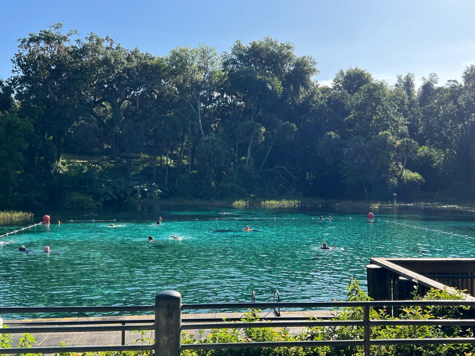 Rainbow Lake Estates - Land