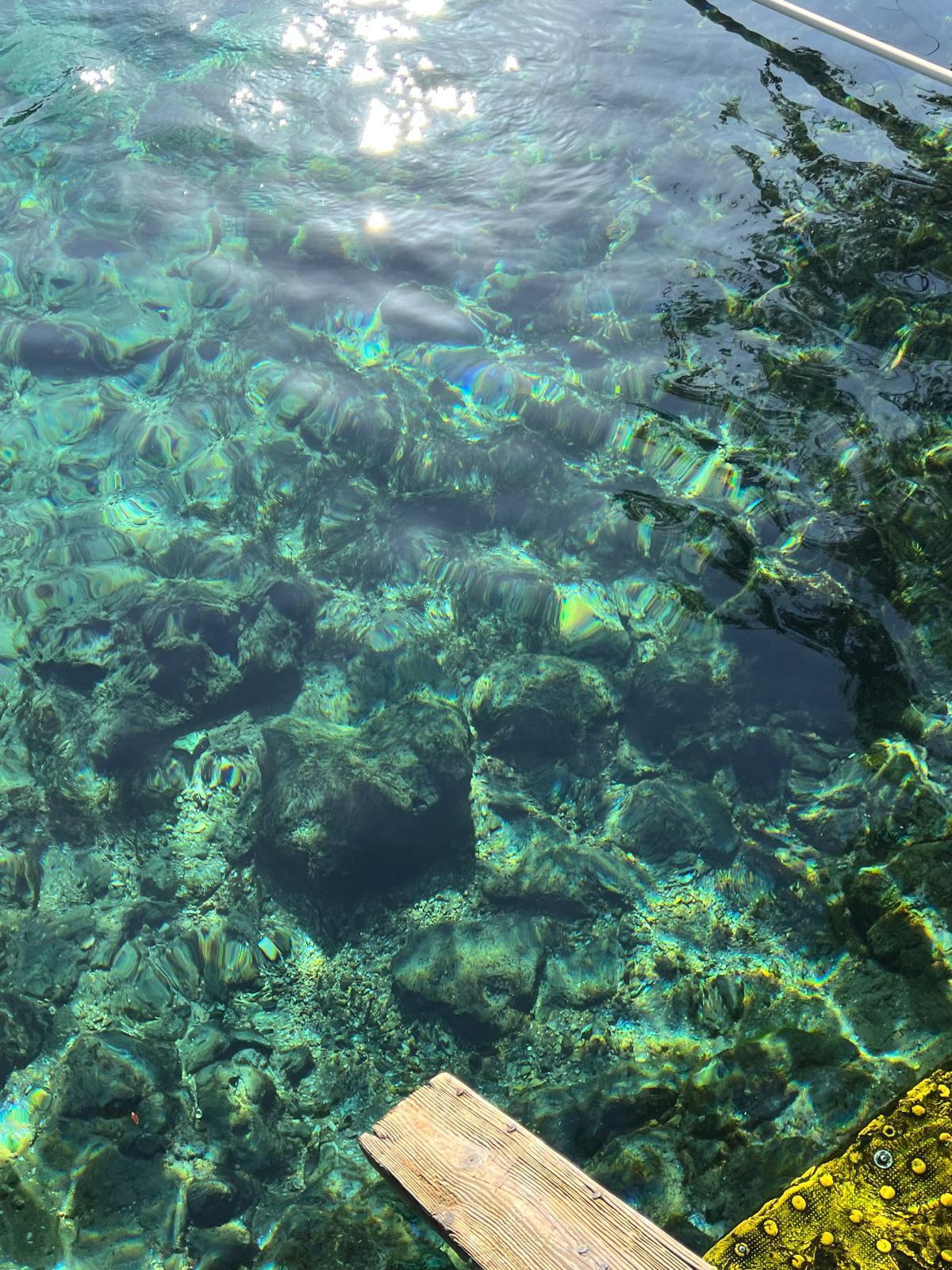 Rainbow Lake Estates - Land