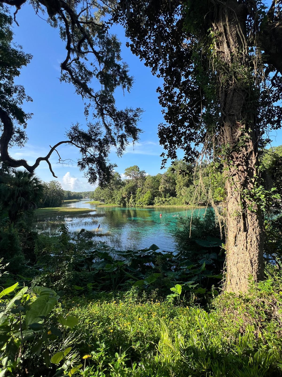 Rainbow Lake Estates - Land